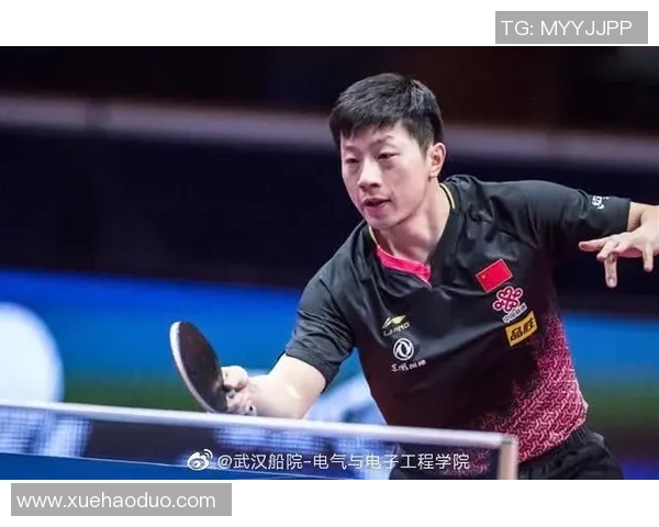 武汉乒乓球队在钻石联赛中的战术表现与未来发展潜力分析 武汉乒乓球队在钻石联赛中的战术表现与未来发展潜力分析