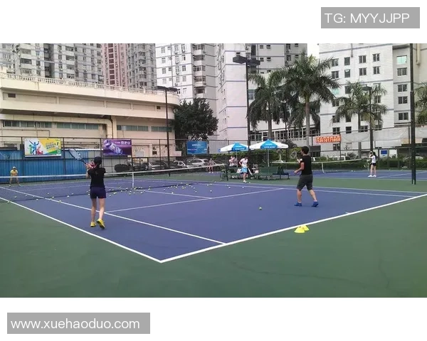 深圳网球队状态对比深度分析及未来发展趋势探讨 深圳网球队状态对比深度分析及未来发展趋势探讨