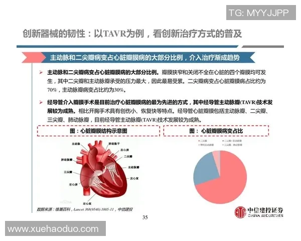 深圳羽毛球队耐力之争引发热议球员训练方式与比赛表现的深度探讨 深圳羽毛球队耐力之争引发热议球员训练方式与比赛表现的深度探讨