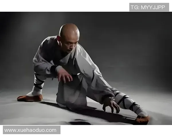 足球明星与少林功夫的完美结合探索运动与武术的极致魅力与精神传承 足球明星与少林功夫的完美结合探索运动与武术的极致魅力与精神传承