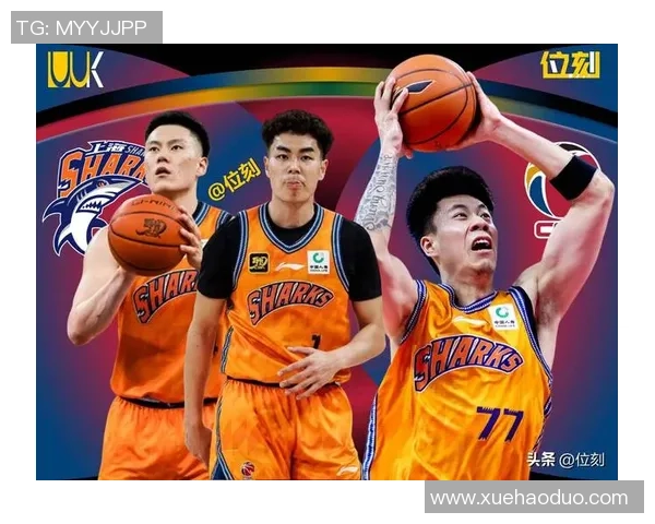 篮球力量排行榜：上海篮球队位居第9名