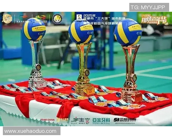 排球耐力排名：成都排球队创新高