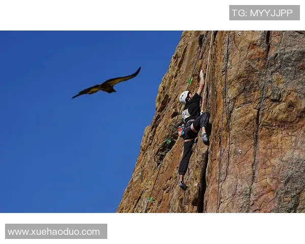 从零开始：攀岩力量完全攻略